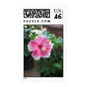 Pink and White Flower postage