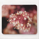 Pink and White Flower with Swirls Mousepad