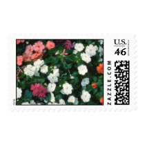 Pink and White Flowers Postage Stamps stamps