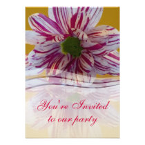 Pink and White Gerbera Flower Personalized Announcements