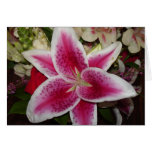 pink and white lily flower cards