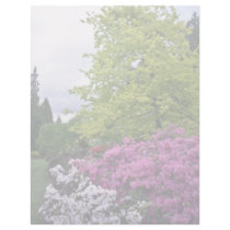 Pink And White Park Azaleas flowers Letterhead