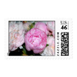 Pink and White Peonies Stamp