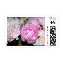 Pink and White Peonies Stamp