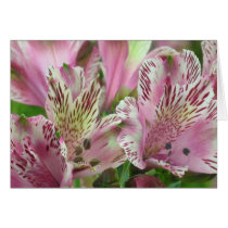 Pink and White Peruvian Lillies Card