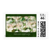Pink and White Poinsettias 1 Painterly - Seasons G Postage