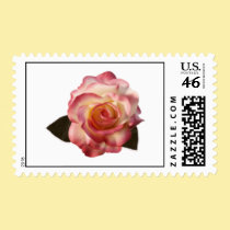 Pink and White Rose Wedding Stamp