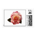 Pink and White Rose Wedding Stamp