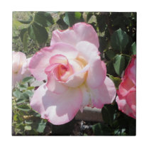 PINK AND WHITE ROSES CERAMIC TILE