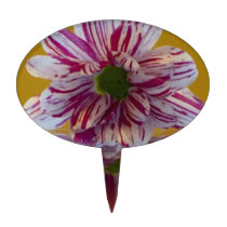 Pink and White Striped Daisy Gerbera Oval Cake Topper