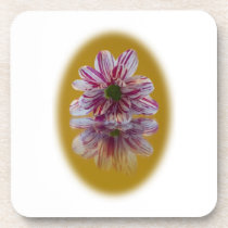 Pink and White Striped Daisy Gerbera Drink Coaster