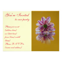 Pink and White Striped Daisy Gerbera Custom Announcements