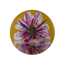 Pink and White Striped Daisy Gerbera Round Clocks