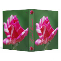 Pink and white striped rose and meaning 3 ring binder
