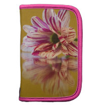 Pink and White Stripey Gerbera Flower Organizer