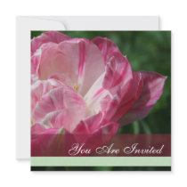 Pink and white tulip - Blank back invitations