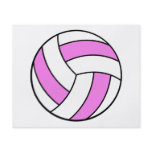 pink and white volleyball flyers