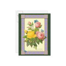 Pink and Yellow Botanical Roses Blank Postcard by thegardenpages Pink and Yellow Botanical Roses Blank Postcard