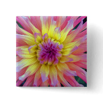 Pink and Yellow Dahlia Buttons