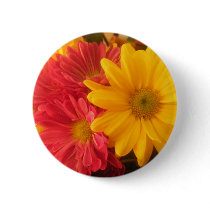 Pink and Yellow Daisies
