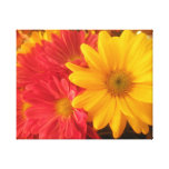 Pink and Yellow Daisies Gallery Wrapped Canvas