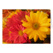 Pink and Yellow Daisies Customizable Greeting Cards