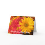 Pink and Yellow Daisies Happy Mother's Day Cards
