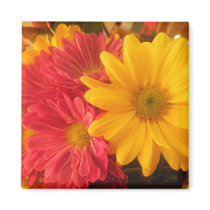 Pink and Yellow Daisies Magnets