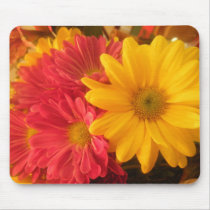 Pink and Yellow Daisies Mouse Pads
