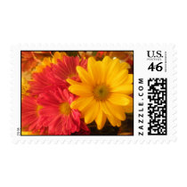 Pink and Yellow Daisies Postage