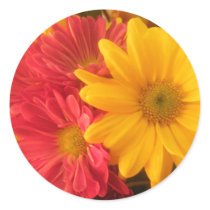 Pink and Yellow Daisies Stickers