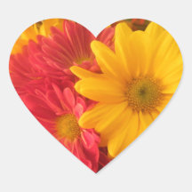 Pink and Yellow Daisies Stickers