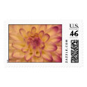 Pink and Yellow flower bloom postage by elekmuff Pink and Yellow flower bloom postage