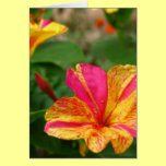 pink and yellow flower cards