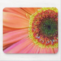 pink and yellow gerbera mousepads