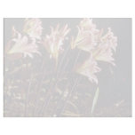 Pink And Yellow Lilies In Morning flowers Letterhead Design
