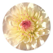Pink and Yellow Mum stickers