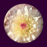 Pink and Yellow Mums