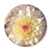 Pink and Yellow Mums magnets
