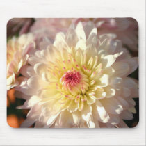 Pink and Yellow Mums mousepads