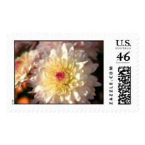 Pink and Yellow Mums stamps