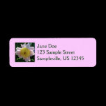 Pink and Yellow Peony Return Address Label