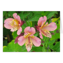 Pink and Yellow Peruvian Lillies Card
