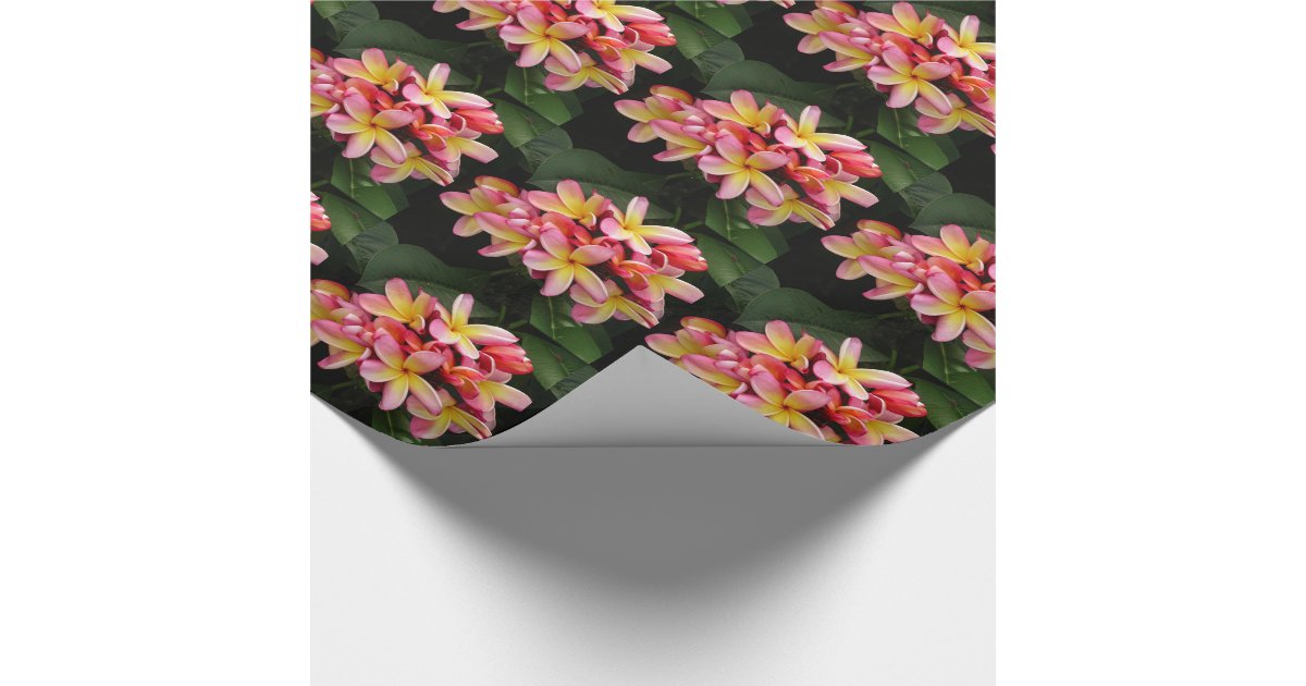 pink and yellow plumeria flowers wrapping paper zazzle pink flower wrapping paper