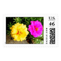 Pink and Yellow postage