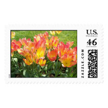 Pink and Yellow Tulips postage