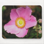 mousepad, anemone, pink flower, mousepads,