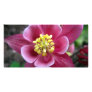 Pink Aquilegia Photocard Personalized Photo Card