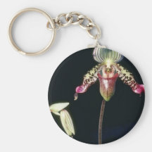 Pink Argus (Paphiopedilum) flowers Key Chains
