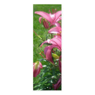 Pink Asiatic Lilies Bookmark profilecard